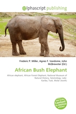 African Bush Elephant