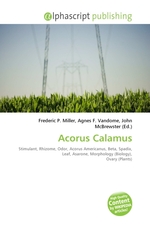 Acorus Calamus