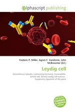 Leydig cell