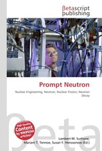 Prompt Neutron