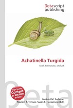 Achatinella Turgida