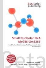 Small Nucleolar RNA Me28S-Gm3255