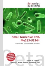 Small Nucleolar RNA Me28S-U3344