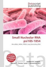 Small Nucleolar RNA psi18S-1854