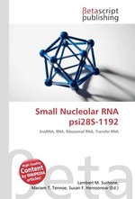 Small Nucleolar RNA psi28S-1192