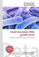 Small Nucleolar RNA psi28S-3316