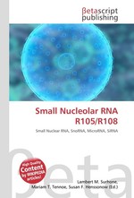 Small Nucleolar RNA R105/R108