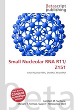 Small Nucleolar RNA R11/Z151