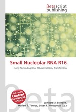 Small Nucleolar RNA R16