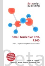 Small Nucleolar RNA R160