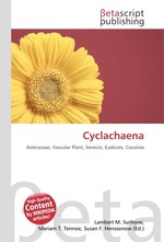 Cyclachaena