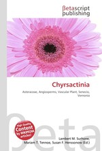 Chyrsactinia