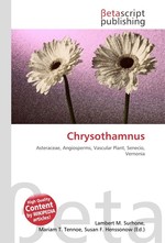 Chrysothamnus