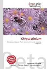 Chrysactinium