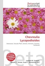 Chevreulia Lycopodioides