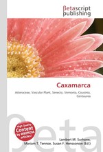 Caxamarca