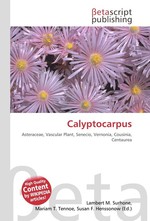 Calyptocarpus