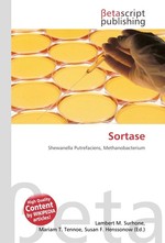 Sortase