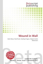 Wound in Wall