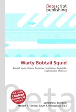 Warty Bobtail Squid