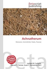 Achnatherum