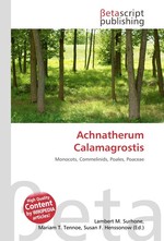 Achnatherum Calamagrostis