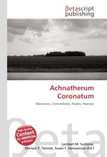 Achnatherum Coronatum