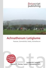 Achnatherum Latiglume