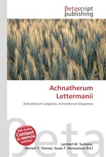 Achnatherum Lettermanii