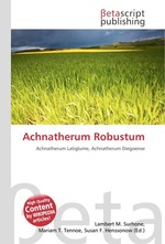 Achnatherum Robustum