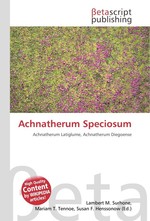 Achnatherum Speciosum