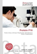 Protein P16