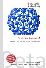 Protein Kinase A