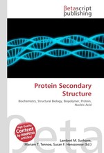 Protein Secondary Structure