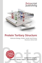 Protein Tertiary Structure