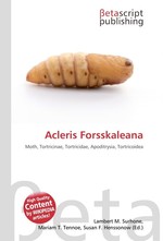Acleris Forsskaleana