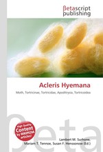 Acleris Hyemana