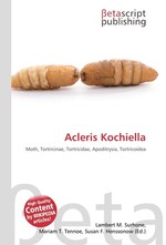 Acleris Kochiella