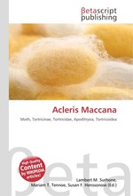 Acleris Maccana