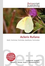 Acleris Rufana