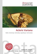 Acleris Variana
