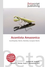Acontista Amazonica