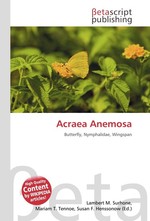 Acraea Anemosa