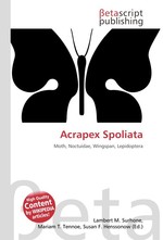 Acrapex Spoliata