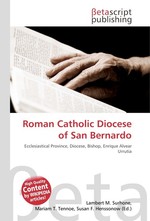 Roman Catholic Diocese of San Bernardo