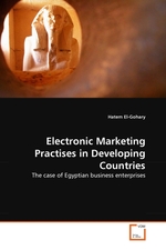 Electronic Marketing Practises in Developing Countries. The case of Egyptian business enterprises