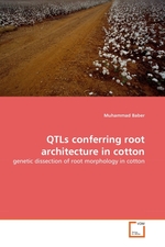 QTLs conferring root architecture in cotton. genetic dissection of root morphology in cotton