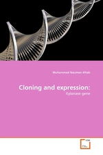 Cloning and expression:. Xylanase gene