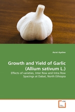 Growth and Yield of Garlic (Allium sativum L.). Effects of varieties, Inter Row and Intra Row Spacings at Dabat, North Ethiopia