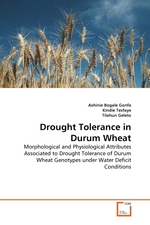 Drought Tolerance in Durum Wheat. Morphological and Physiological Attributes Associated to Drought Tolerance of Durum Wheat Genotypes under Water Deficit Conditions